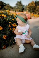 1 Year - Harper