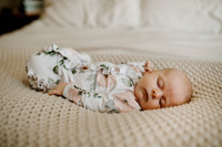 Newborn - Ellie Timm