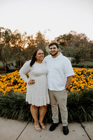 Engagement - Essence & Logan